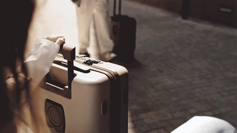 Ninetygo 20-Inch Cabin Luggage - Luggage &Amp; Luggage Covers - Other Materials 